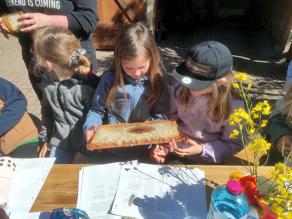 Grundschüler zu Besuch beim Imker